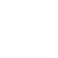 Global delivery and service support
